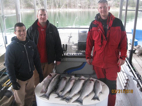 Nice Striped Bass